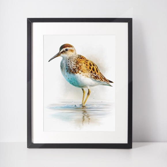 Watercolor Sandpiper Bird Portrait Wall Art Print, Unframed - Coastal Serenity - Picture 3 of 7